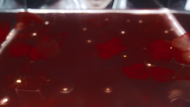 Video Reference: Red, Light, Automotive lighting, Water, Lighting, Photography, Food, Games