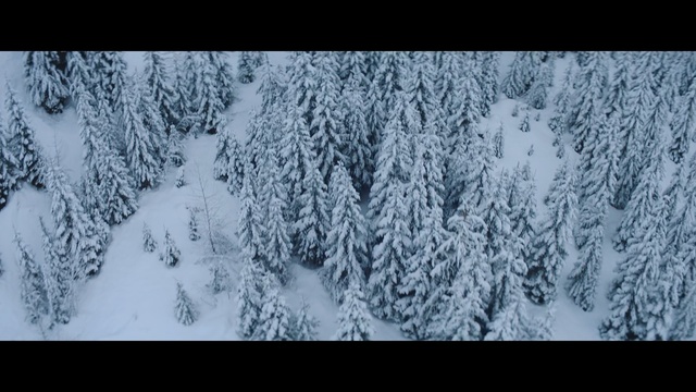 Video Reference: Snow, Winter, Tree, Nature, Freezing, Geological phenomenon, Biome, Frost, Branch, Forest