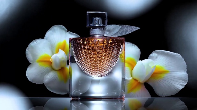 Video Reference: Perfume, Product, Glass bottle, Water, Still life photography, Flower, Cosmetics, Glass, Plant, Still life