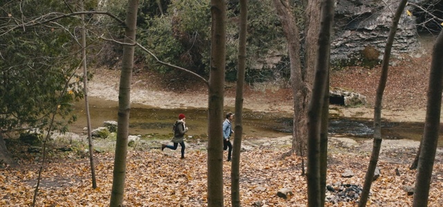 Video Reference: Woodland, Tree, Forest, Natural environment, Nature reserve, State park, Northern hardwood forest, Wilderness, Biome, Trail, Person