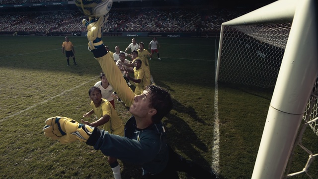 Video Reference: Player, Team sport, Grass, Competition event, Goalkeeper, Sports equipment, Team, Goal, Tournament, Ball game, Person