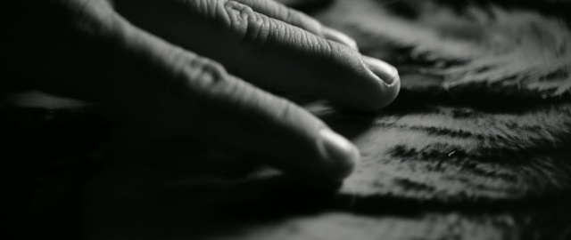 Video Reference: Black, Hand, Finger, Black-and-white, Monochrome photography, Close-up, Monochrome, Photography, Arm, Human