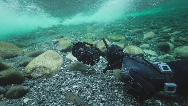 Video Reference: Underwater, Scuba diving, Diving equipment, Marine biology, Aquanaut, Reef, Divemaster, Organism, Recreation, Underwater diving