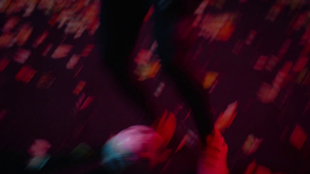 Video Reference: Purple, Plant, Automotive lighting, Sky, Organism, Petal, Violet, Pink, Grass, Magenta