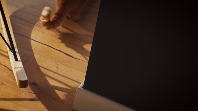 Video Reference: Wood, Hardwood, Floor, Plywood, Table, Flooring, Wood stain, Furniture