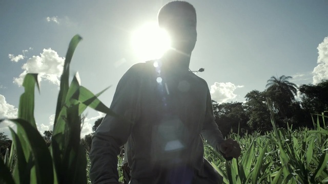 Video Reference: People in nature, Backlighting, Grass, Sunlight, Botany, Plant, Photography, Grass, Crop, Adaptation, Person