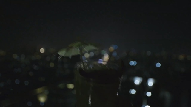 Video Reference: jellyfish, invertebrate