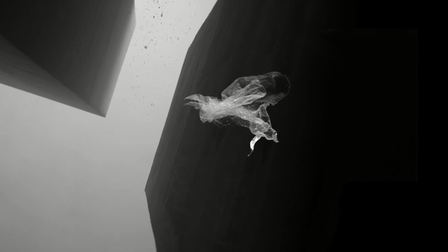 Video Reference: Black, White, Black-and-white, Monochrome photography, Water, Monochrome, Photography, Joint, Leg, Hand