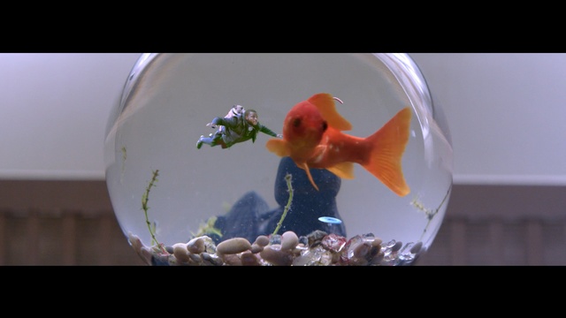 Video Reference: vertebrate, organism, art, computer wallpaper