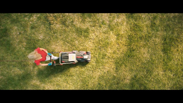 Video Reference: Grass, Lawn, Vehicle, Mode of transport, Race car, Tree, Photography, Soil, Landscape, Screenshot, Person