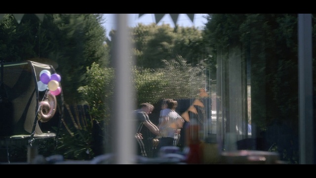 Video Reference: Photograph, Nature, People, Crowd, Light, Tree, Snapshot, Fun, Sunlight, Photography