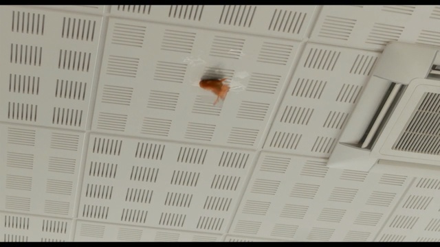 Video Reference: newspaper, product, menu, envelope, creation, paper, fare, book