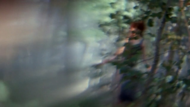 Video Reference: nature, leaf, tree, water, branch, sunlight, morning, atmosphere, forest, close up