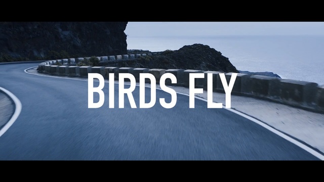 Video Reference: Font, Asphalt, Photography, Logo, Road, Brand