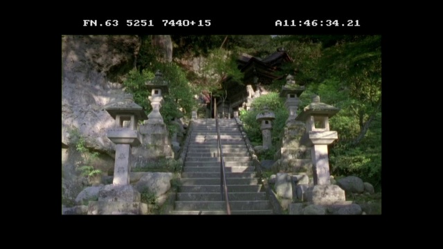 Video Reference: Nature, Vegetation, Natural environment, Tree, Biome, Historic site, Jungle, Architecture, Archaeological site, Forest