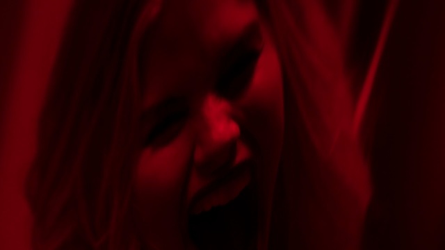 Video Reference: Red, Black, Maroon, Light, Pink, Close-up, Magenta, Darkness, Petal, Lip