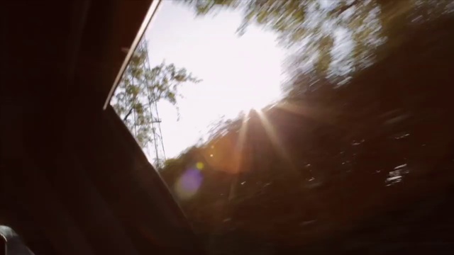 Video Reference: Nature, Sky, Photograph, Sunlight, Light, Tree, Green, Morning, Leaf, Brown
