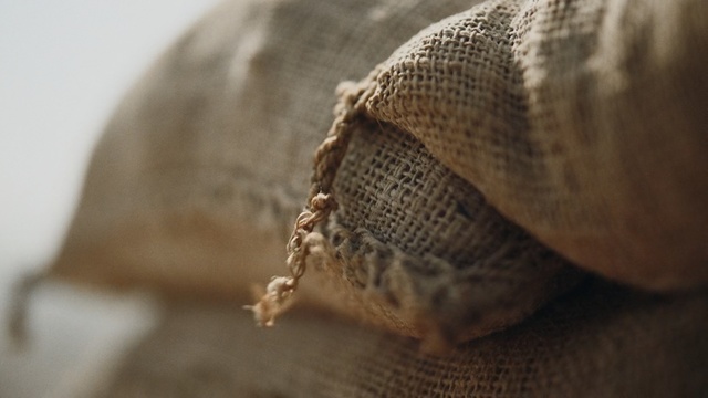 Video Reference: Close-up, Snout, Photography, Macro photography, Person