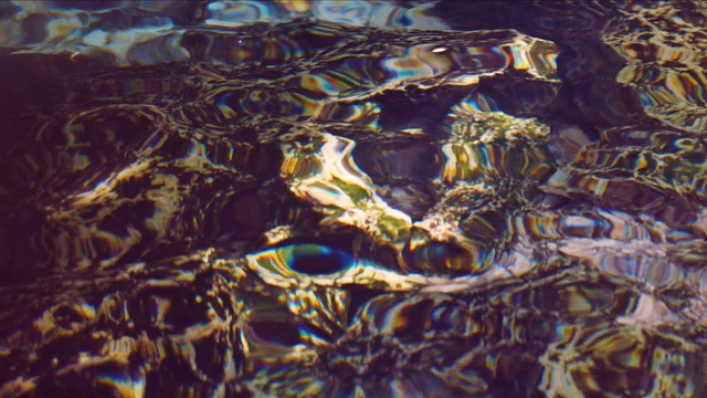Video Reference: water, organism, art, psychedelic art, computer wallpaper, space