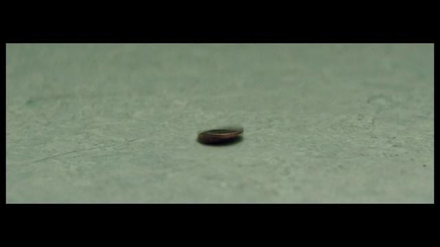 Video Reference: Close-up, Organism, Macro photography, Photography, Still life photography, Circle