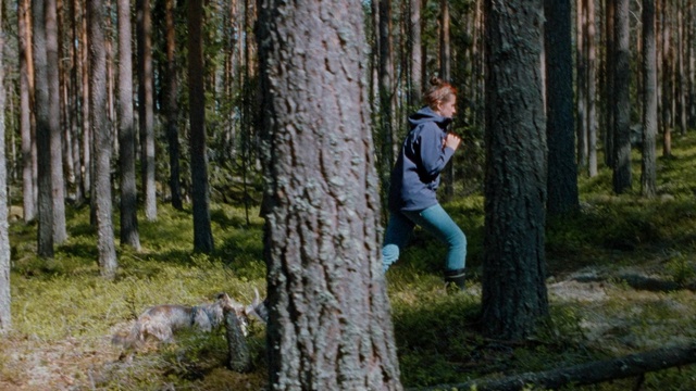 Video Reference: tree, woodland, woody plant, forest, wilderness, ecosystem, old growth forest, plant, path, spruce fir forest, Person