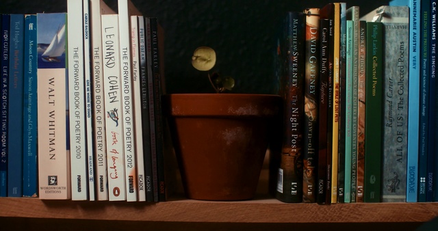 Video Reference: Shelf, Bookcase, Shelving, Book, Publication, Furniture, Collection, Room, Novel, Self-help book