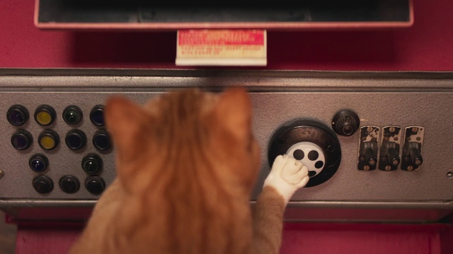 Video Reference: Arm, Finger, Hand, Room, Games, Machine, Person