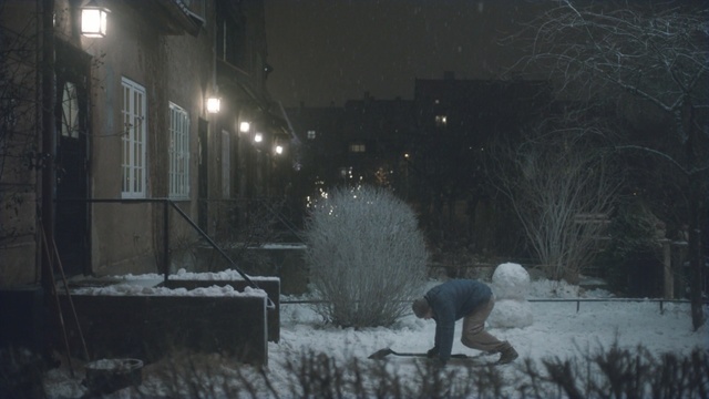 Video Reference: snow, winter, freezing, tree, night, urban area, street light, atmosphere, darkness, winter storm