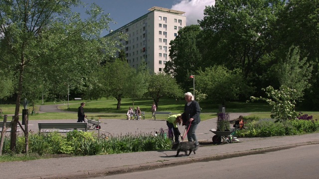 Video Reference: Public space, Road, Residential area, Neighbourhood, Vehicle, Tree, Asphalt, Walking, City, Segway