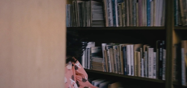 Video Reference: Bookcase, Shelving, Shelf, Library, Book, Publication, Public library, Furniture, Bookselling, Room