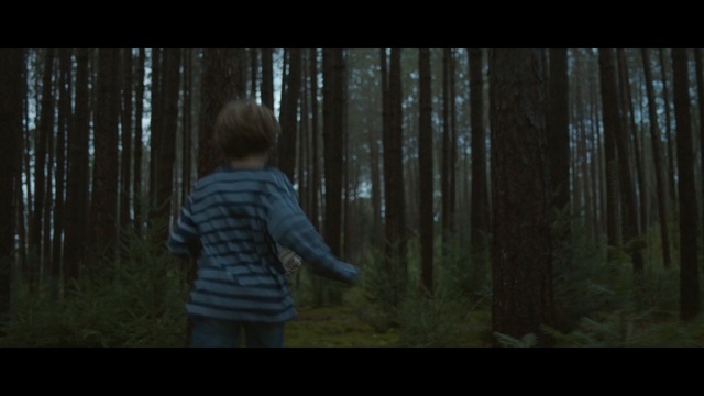 Video Reference: kids, kid, running, boy, nature, tree, forest, photograph, woody plant, darkness, ecosystem, woodland, screenshot, light