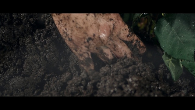 Video Reference: sand, Person