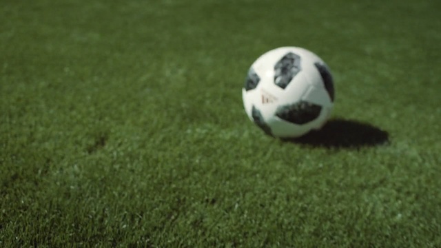 Video Reference: football, grass, ball, ball, football player, player, pallone, ball game, plant, soccer