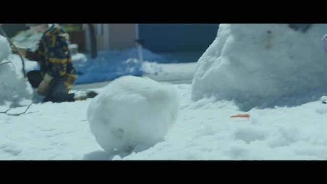 Video Reference: snow, freezing, arctic, geological phenomenon, ice, polar bear, winter storm, glacial landform, adventure, blizzard