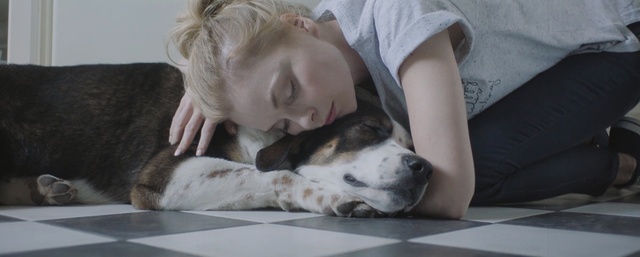 Video Reference: Mammal, Canidae, Dog, Dog breed, Nap, Snout, Companion dog, Sleep, Puppy love, Carnivore