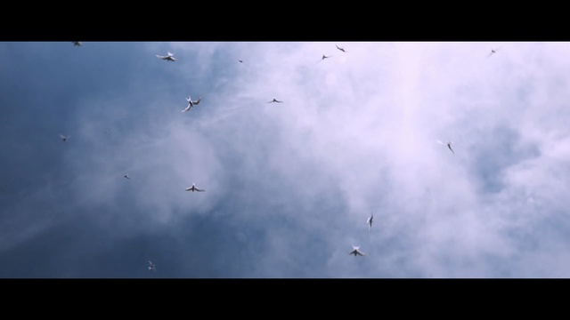 Video Reference: Sky, Blue, Cloud, Atmosphere, Water, Tree, Photography, Meteorological phenomenon, Flock, Plant