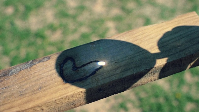 Video Reference: Wood, Shadow