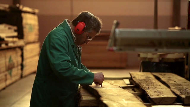 Video Reference: Wood, Person