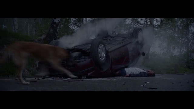 Video Reference: mammal, mode of transport, screenshot, geological phenomenon, organism, werewolf, darkness, midnight, snout, wildlife