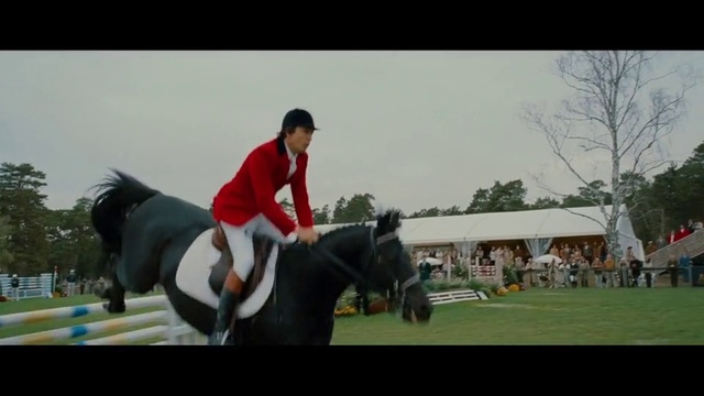 Video Reference: Horse, Animal sports, Mammal, Sports, Vertebrate, Halter, Bridle, Equestrianism, Eventing, Rein