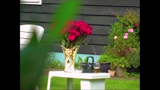 Video Reference: flower, plant, flora, floristry, flower arranging, green, houseplant, flowerpot, leaf, flower bouquet, Person