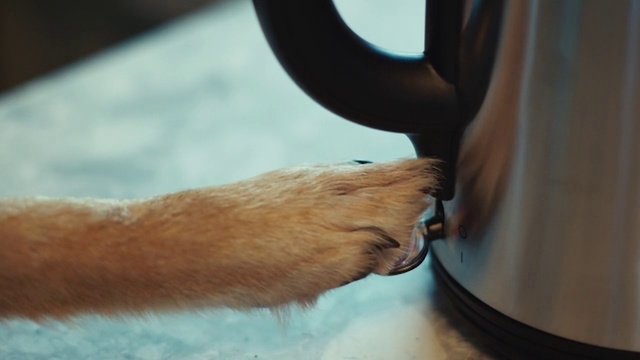 Video Reference: Hand