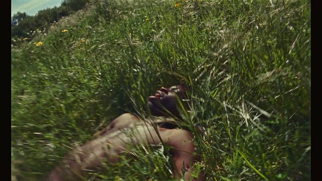 Video Reference: Grass, Vegetation, Plant, Plant community, Grass family, Shrubland, Flower, Organism, Terrestrial plant, Wildlife