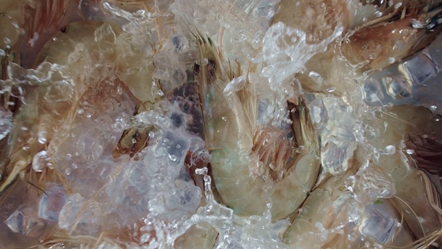 Video Reference: Quartz, Mineral, Cuisine, Fashion accessory, Rock, Crystal