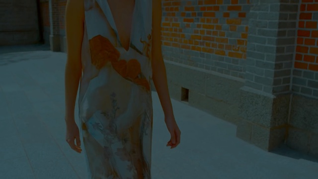 Video Reference: snapshot, wall, wood, art, screenshot, snow