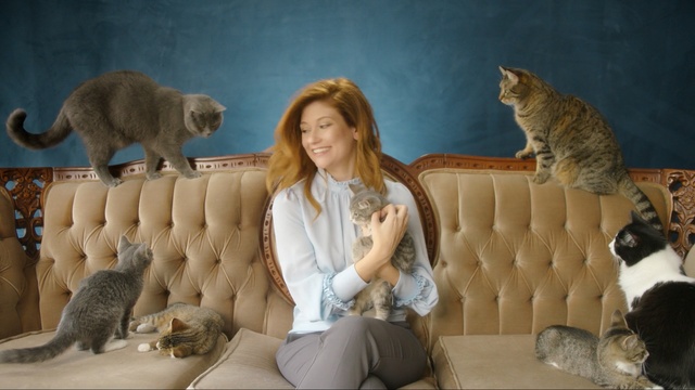 Video Reference: mammal, fauna, cat, fur, cat like mammal, carnivoran, small to medium sized cats, Person