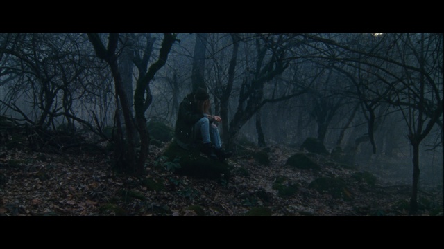 Video Reference: Woodland, Nature, Forest, Natural environment, Black, Photograph, Atmospheric phenomenon, Tree, Darkness, Wilderness
