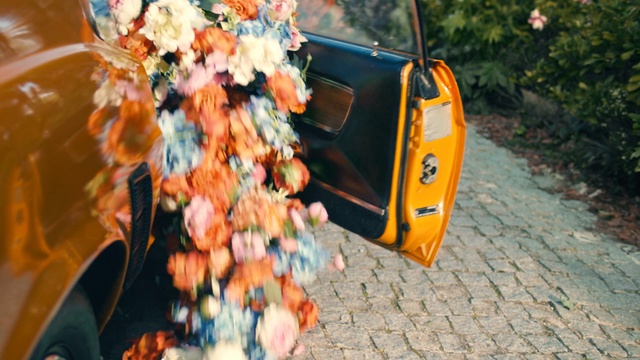 Video Reference: Motor vehicle, Vehicle, Orange, Leaf, Car, Vehicle door, Tree, Automotive exterior, Plant, Flower