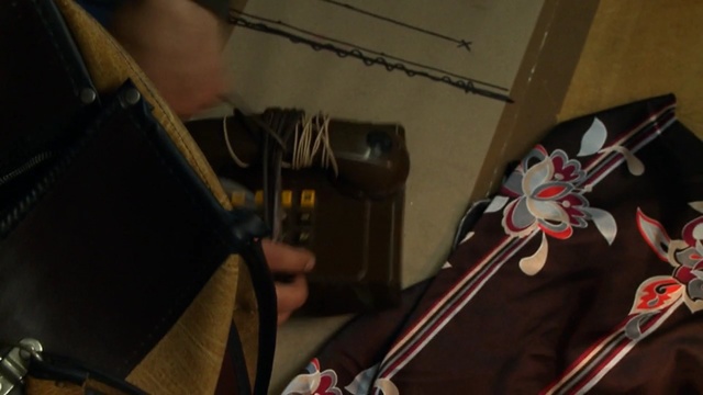 Video Reference: string instrument, horse tack, musician, musical instrument, music, product, musical instrument accessory, plucked string instruments, horse, string instrument, Person