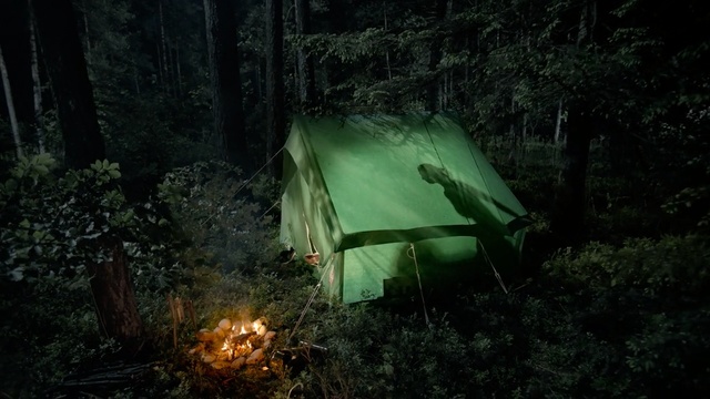 Video Reference: green, nature, forest, ecosystem, woodland, jungle, old growth forest, darkness, tree, biome, Person